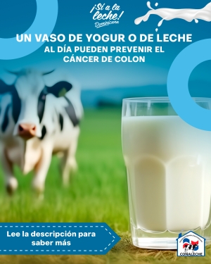 UN VASO DE LECHE O YOGUR PUEDEN PREVENIR EL CÁNCER DE COLON
