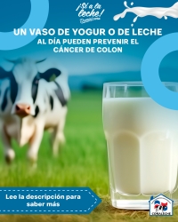 UN VASO DE LECHE O YOGUR PUEDEN PREVENIR EL CÁNCER DE COLON