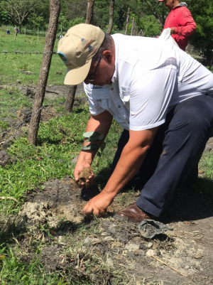 Jornada De Arborización En El Marco Del Proyecto GANACLIMA -RD
