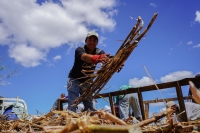 El Proyecto de Mejoramiento de la Ganadería (PROMEGAN), a través del director ejecutivo del CONALECHE, Miguel Laureano, ha entregado más de 200 toneladas de caña de azúcar a productores ganaderos de la zona Este del país para mitigar la sequía
