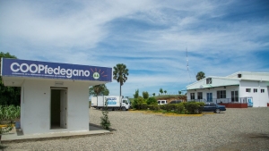 DIRECTOR EJECUTIVO DA SEGUIMIENTO A LOS TRABAJOS DE CONSTRUCCIÓN DE LAS NUEVAS OFICINAS ADMINISTRATIVAS Y SALÓN DE REUNIONES DE COOPFEDEGANO