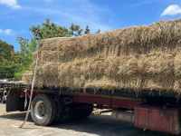 Continuamos con las entregas de pacas a las Zonas afectadas por la sequía.