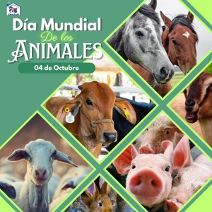 DÍA MUNDIAL DE LOS ANIMALES
