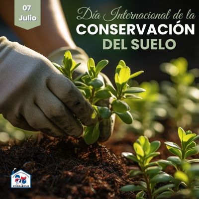 Día Internacional de la Conservación del Suelo
