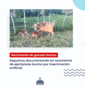 Transformando la ganadería dominicana