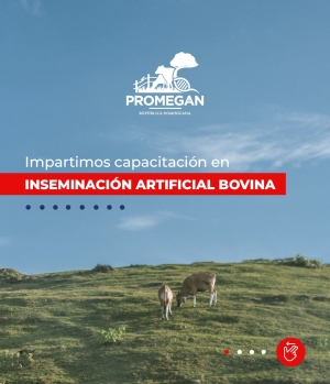 Mejoramiento Genético