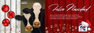 Navidad Conaleche