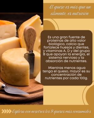 ¿CUÁL ES LA IMPORTANCIA DEL CONSUMO DE QUESOS?