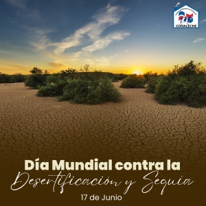Día Mundial de Lucha contra la Desertificación y la Sequía